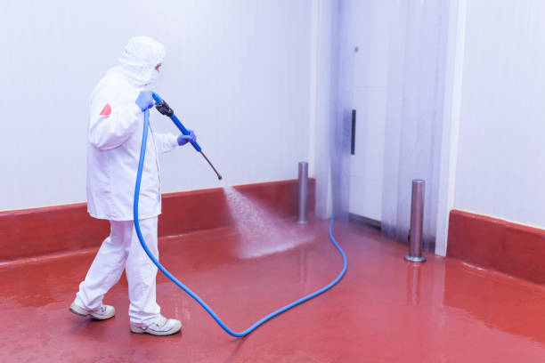 Best Building Exterior Washing  in Haviland, NY